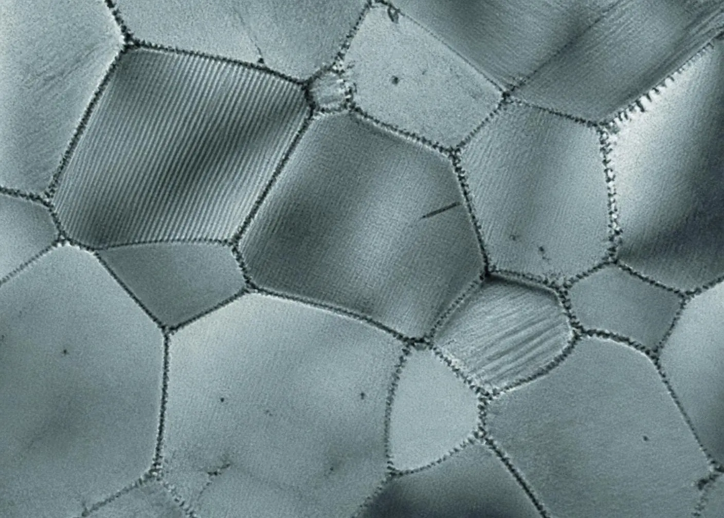 Microscopy image showing the grain boundary structure of a crystalline material