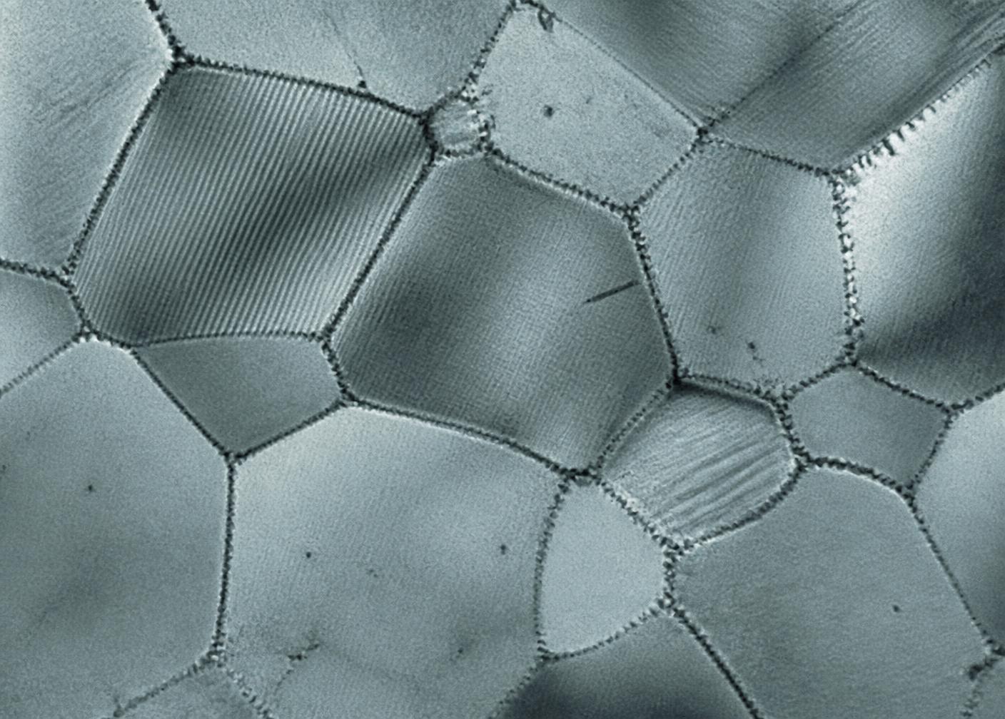 Microscopy image showing the grain boundary structure of a crystalline material